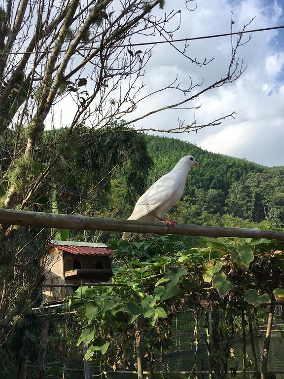 Cau May Homestay Sa Pa Exterior photo